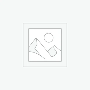 Officiis debitis varius risus dignissim massa quis